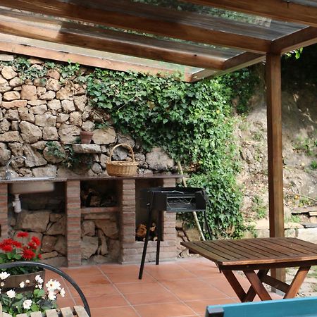Casa Ecologica En Plena Naturaleza Arboli Exterior foto